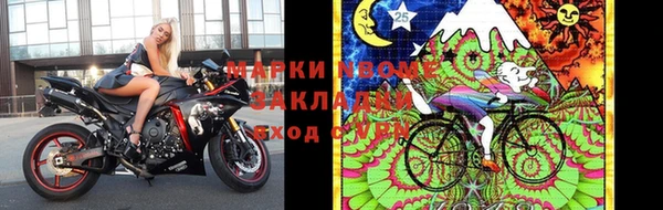 спиды Аркадак